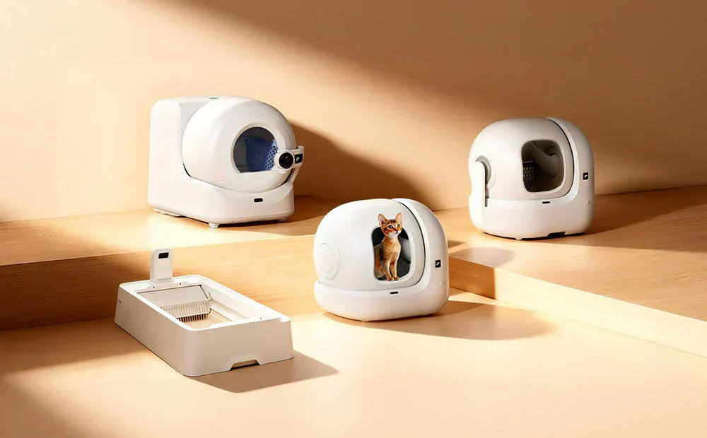 2026 PETKIT Best Automatic Litter Boxes: Ultimate Buying Guide