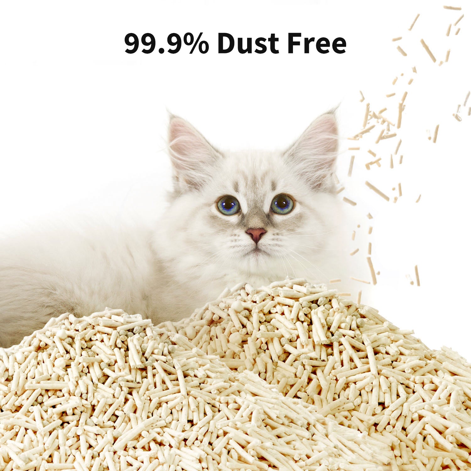 Occult Blood Test Cat Litter