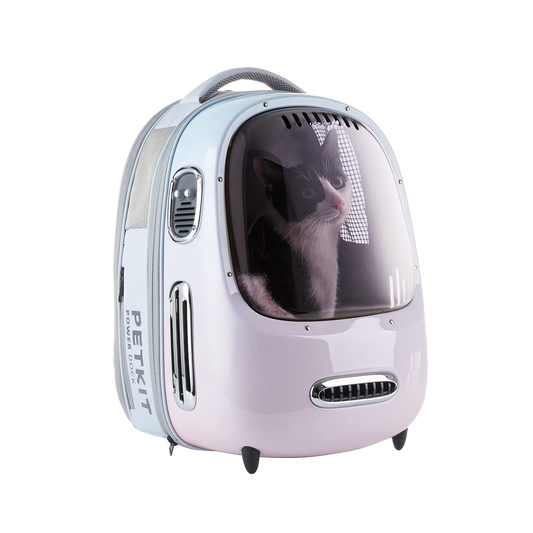 Breezy Dome 2 - Gradient Pink