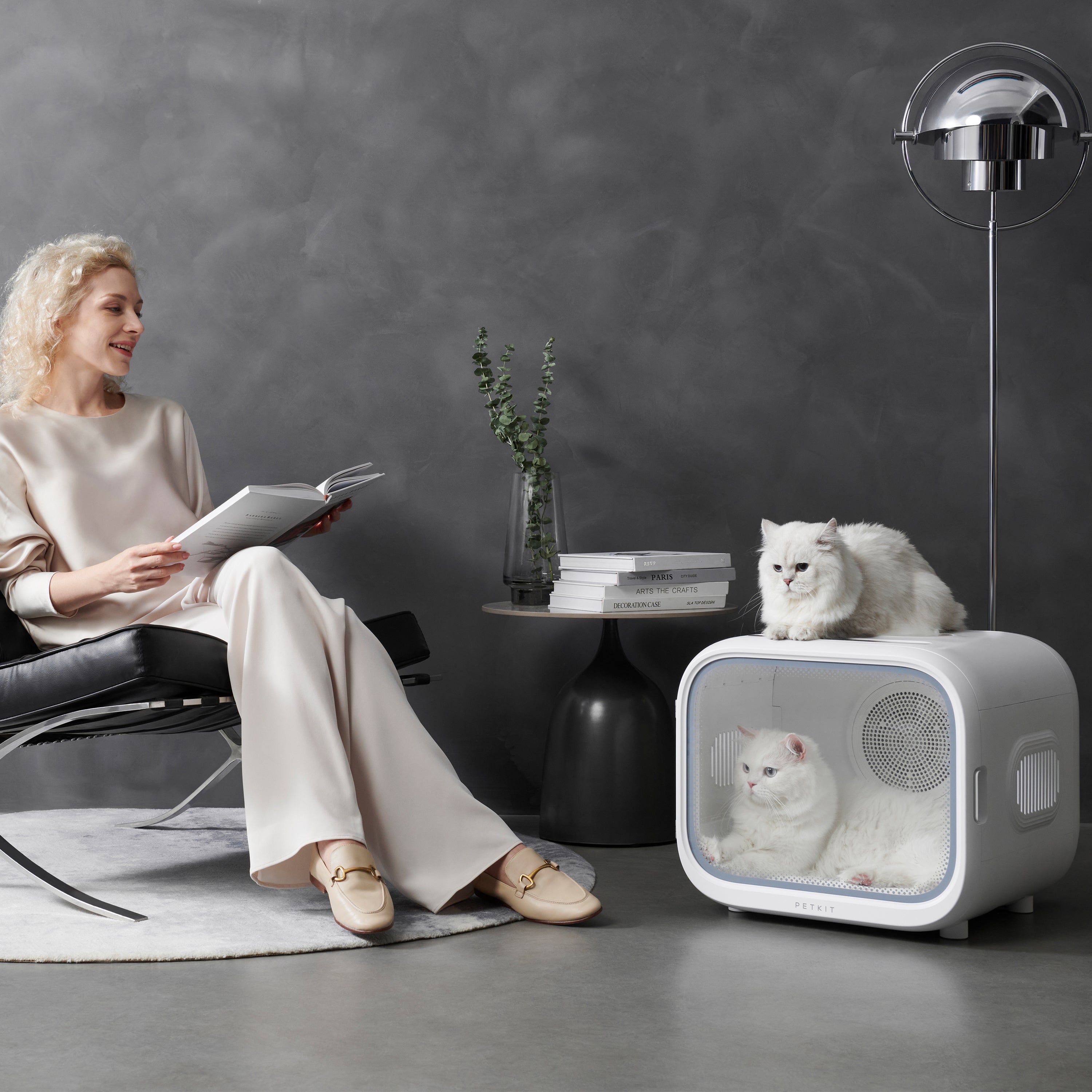 AIRSALON MAX - Pre-owned