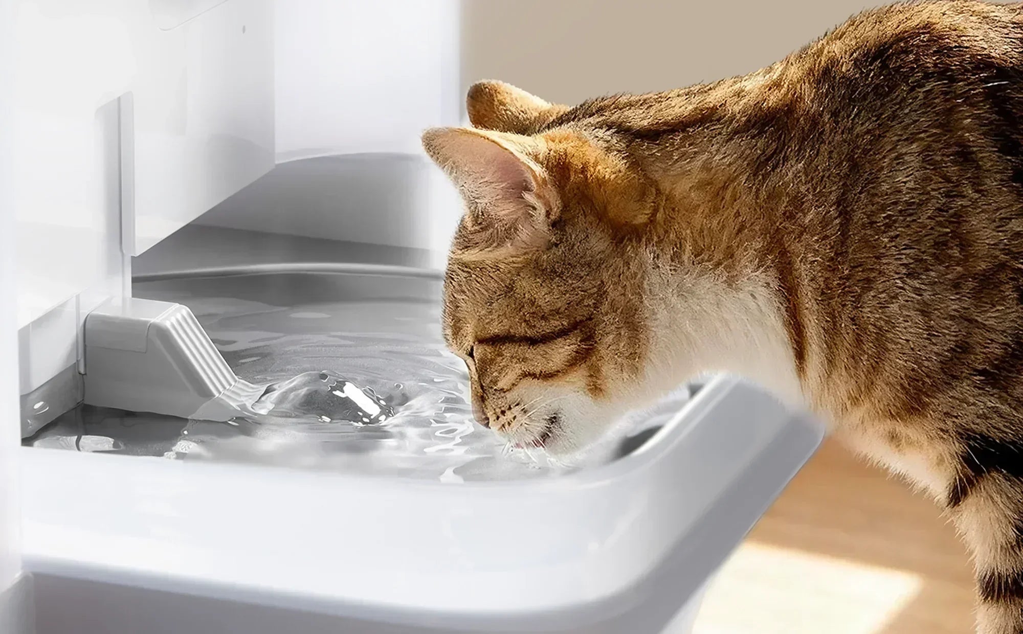 Is an Automatic Cat Water Fountain Worth Buying?