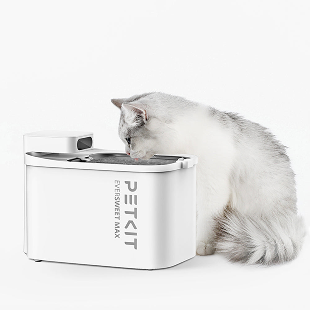 Cat Water Fountains