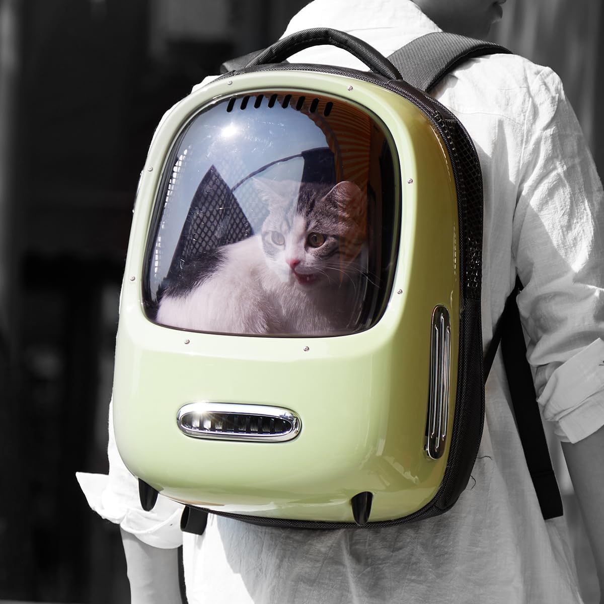Breezy Dome 2 Backpack Green