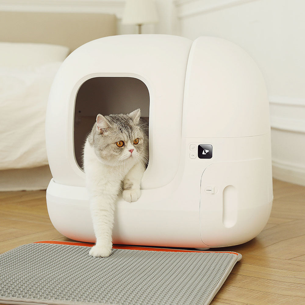 Automatic store cat potty