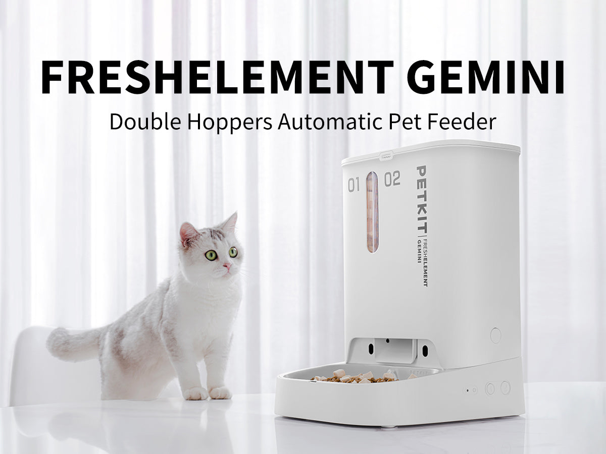 Fresh element smart auto hot sale feeder