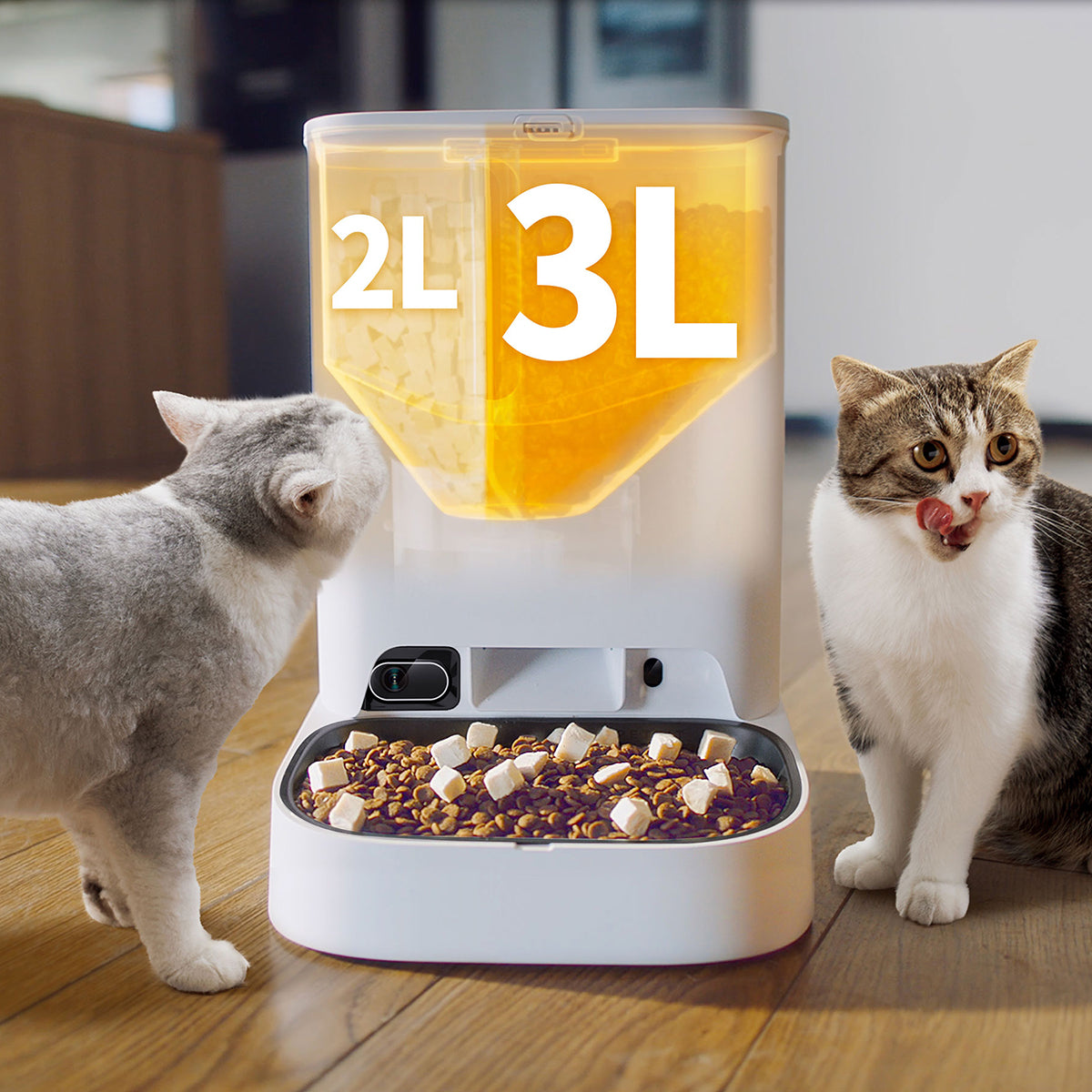 Cat camera feeder best sale