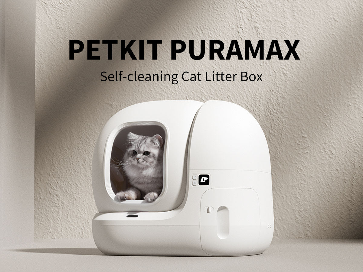 Petkit 2025 litter box