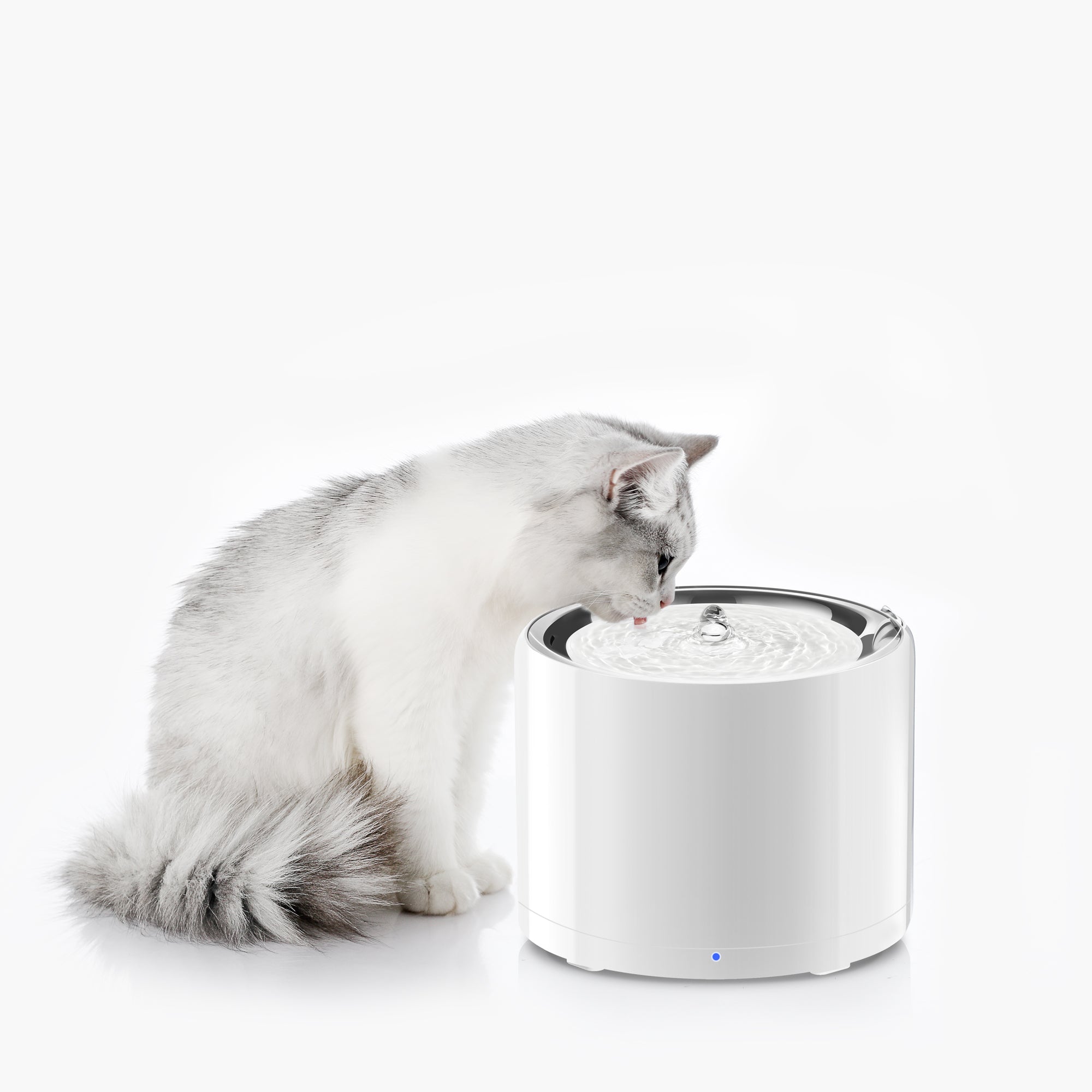 Pet life clearance smart fountain