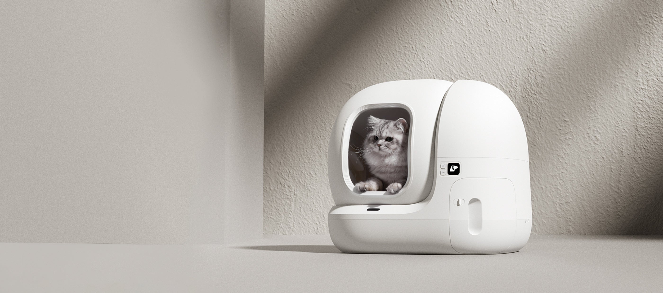 Footloose cat outlet litter box review