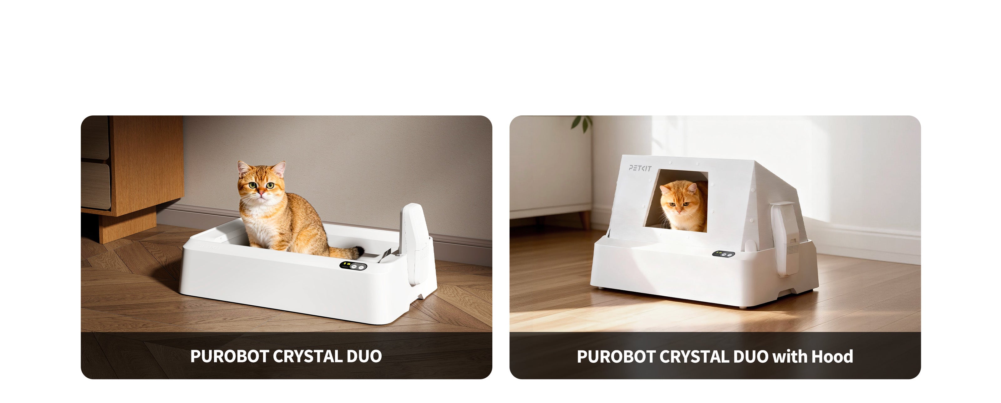 Purobot Crystal Duo Covered