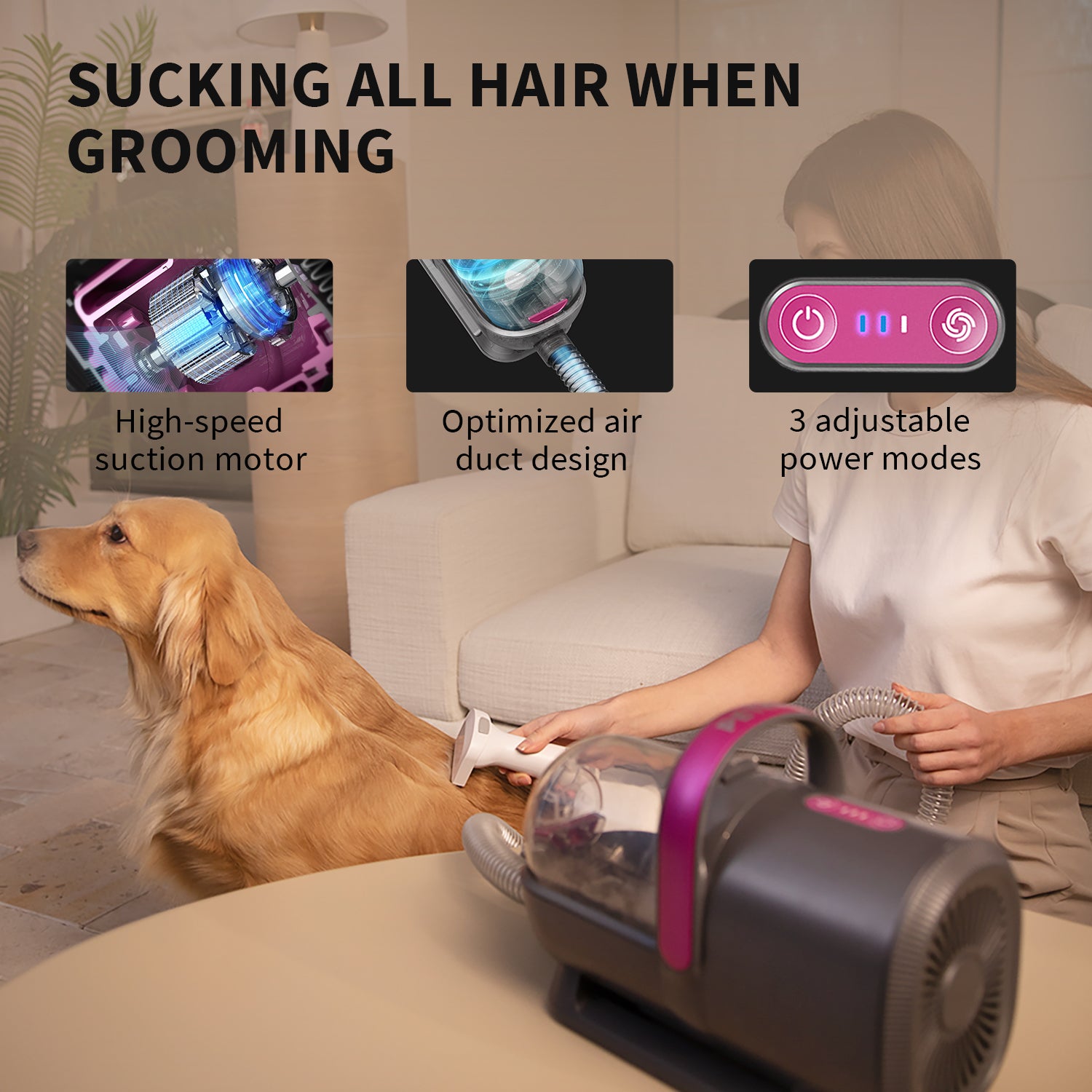 Pet grooming deals kit