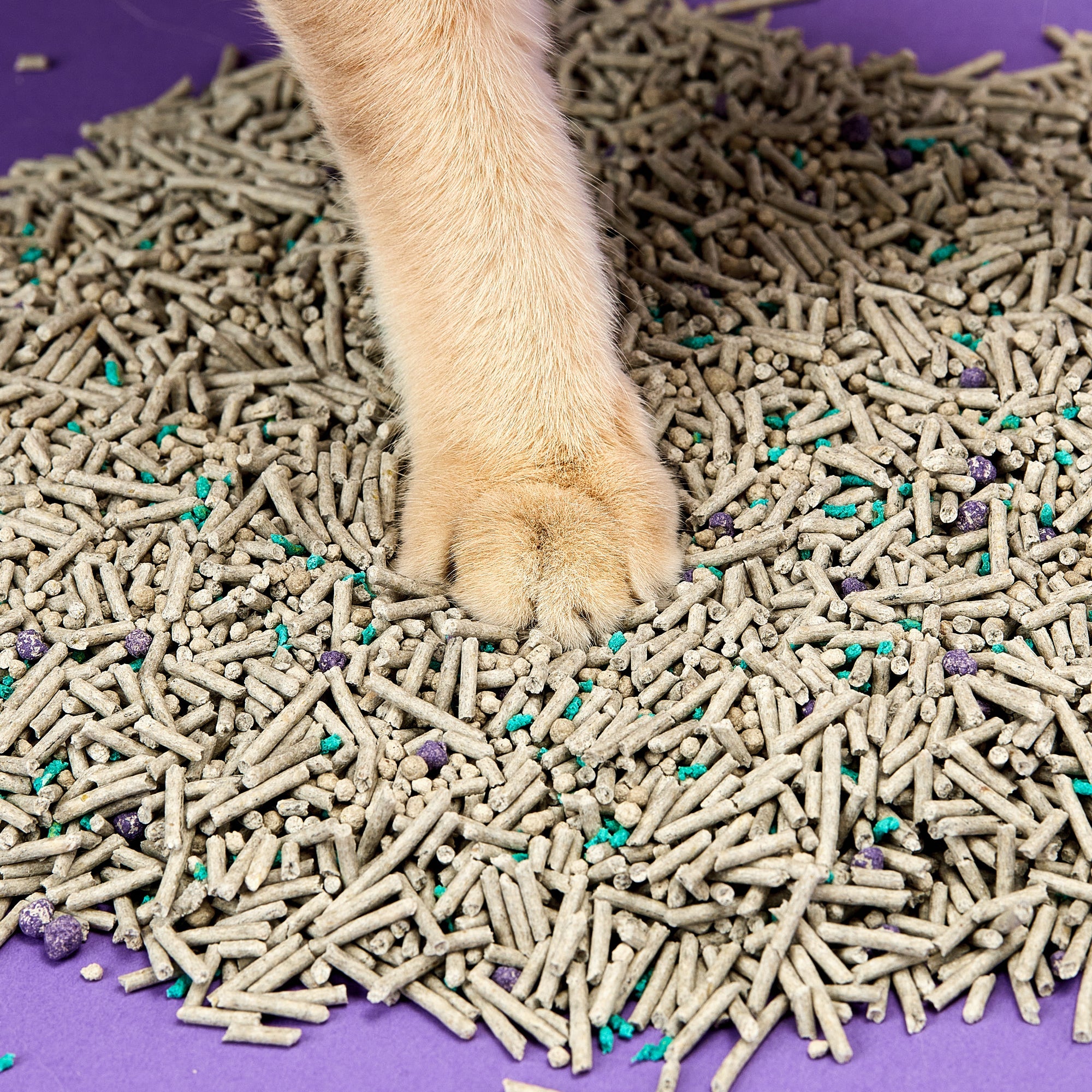 Everclean Flushable Cat Litters