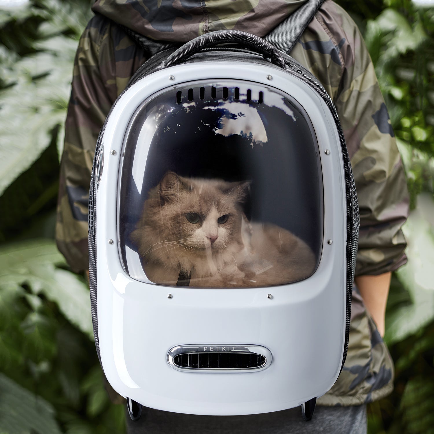 Dome backpack sales for cats